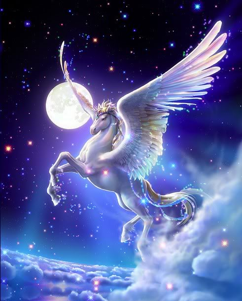 Horse Totem Animal | neptune's aura astrology